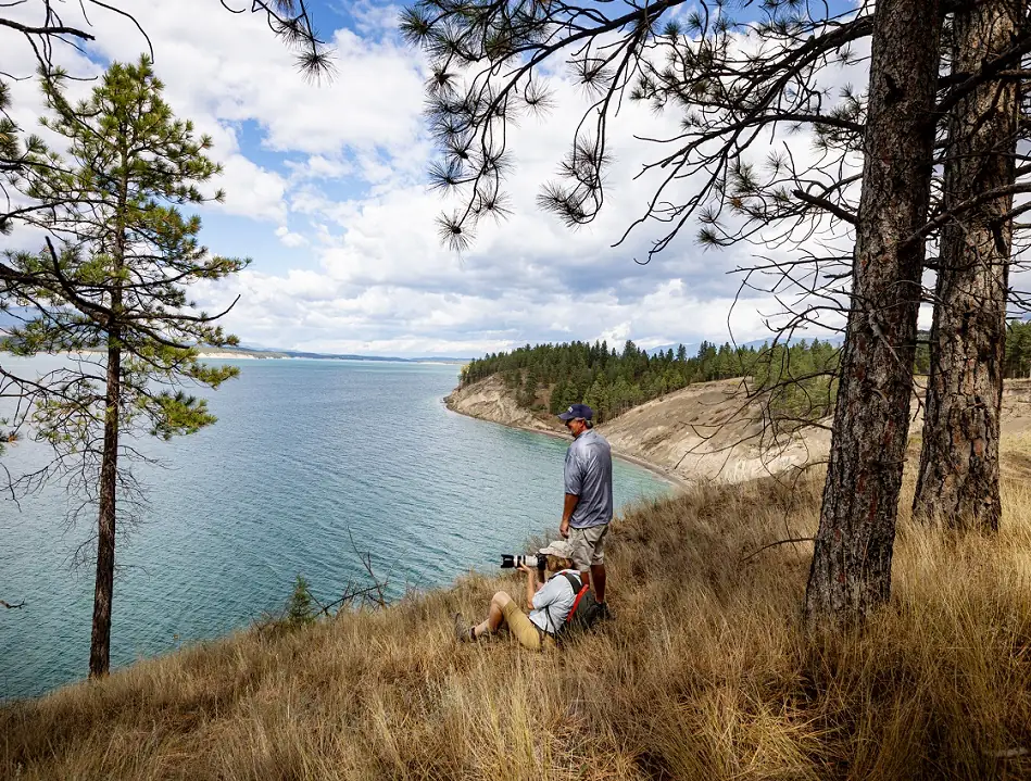 Lake Koocanusa seen through ponderosa pines