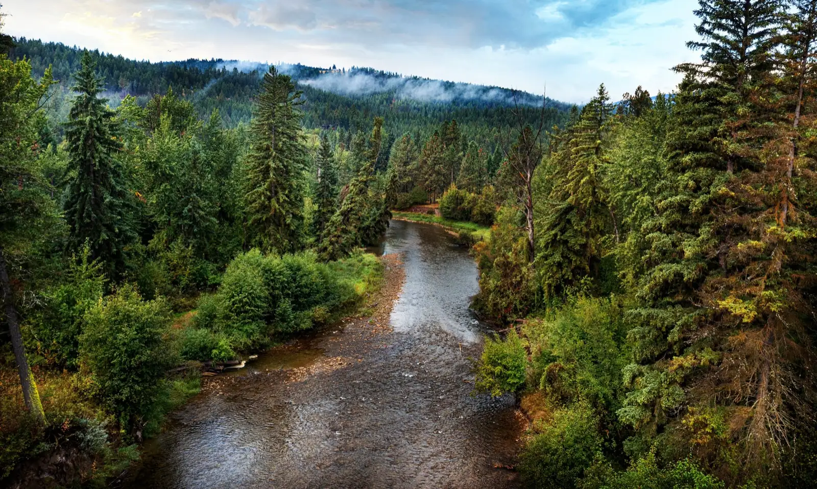 A river running through the Kootenai National Forest at dawn
